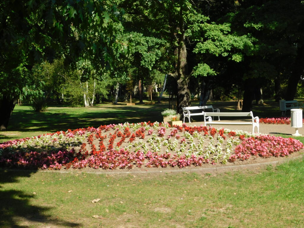 DSCN3711[1]