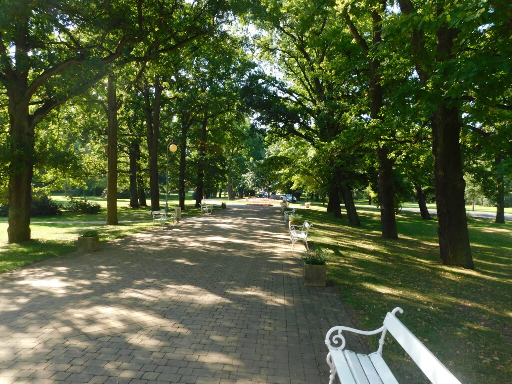 DSCN3718[1]
