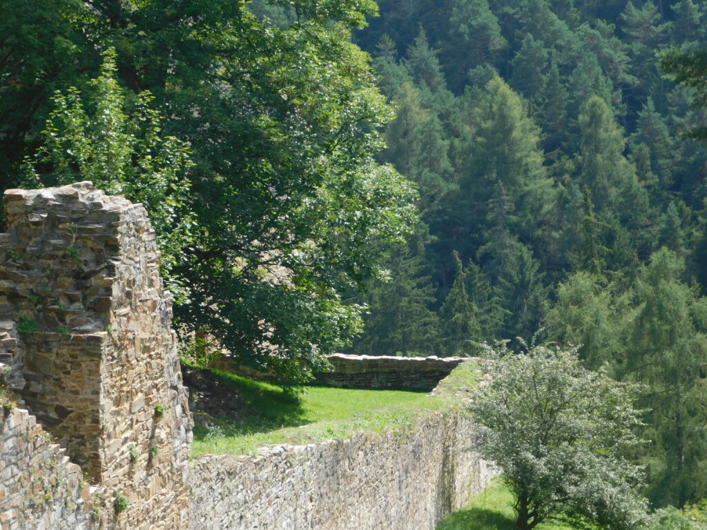 DSCN3893[1]