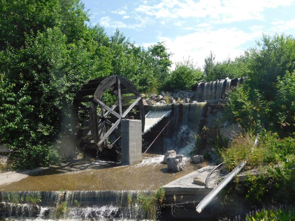 DSCN4463