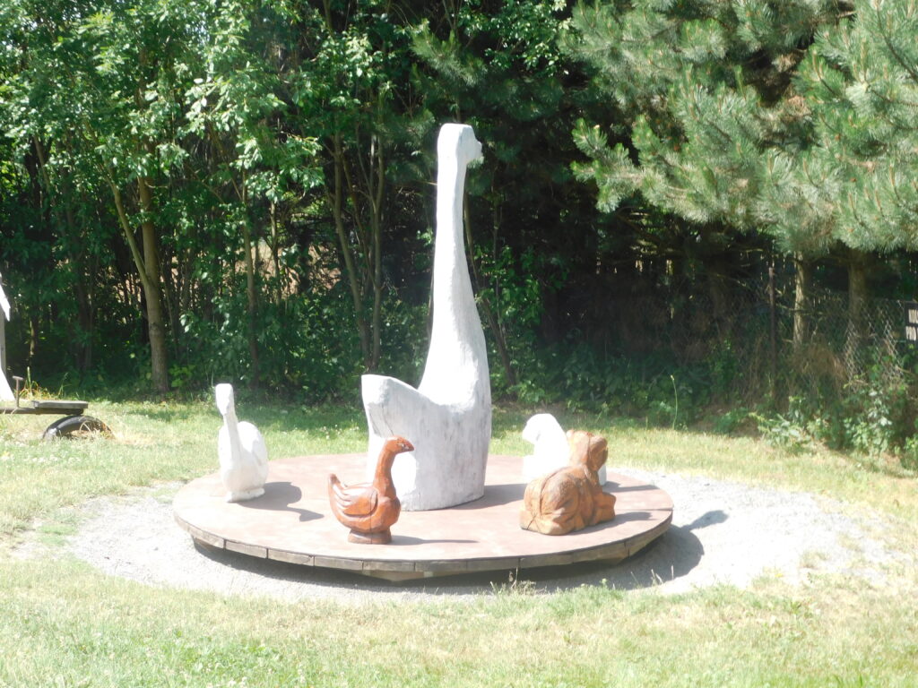 DSCN4469