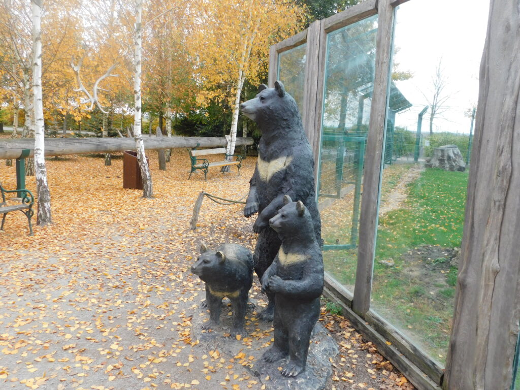 DSCN6186