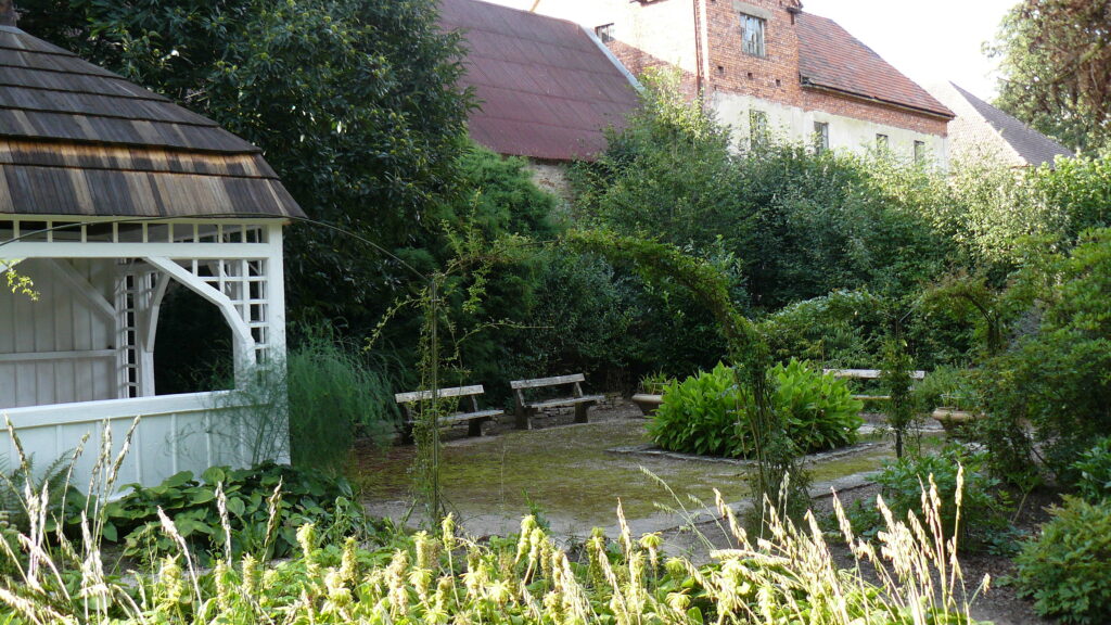 P1130966