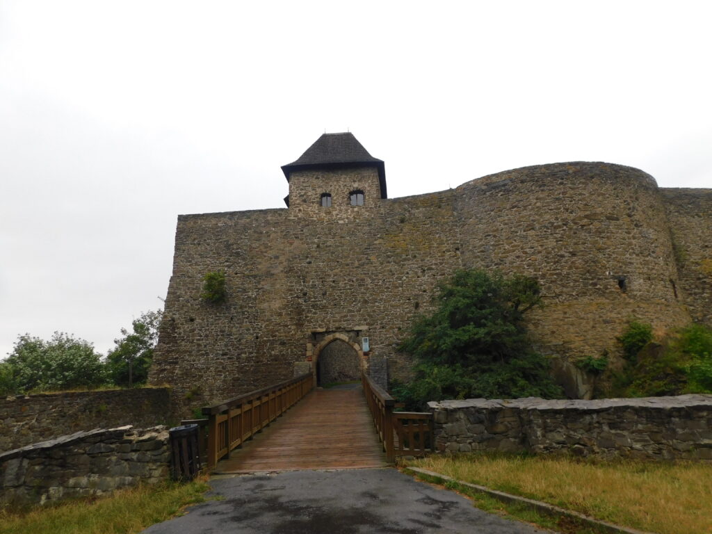 DSCN4761