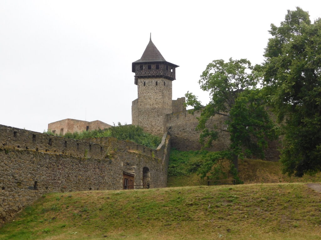 DSCN4774