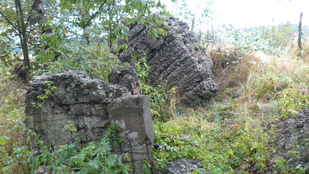 P1140098