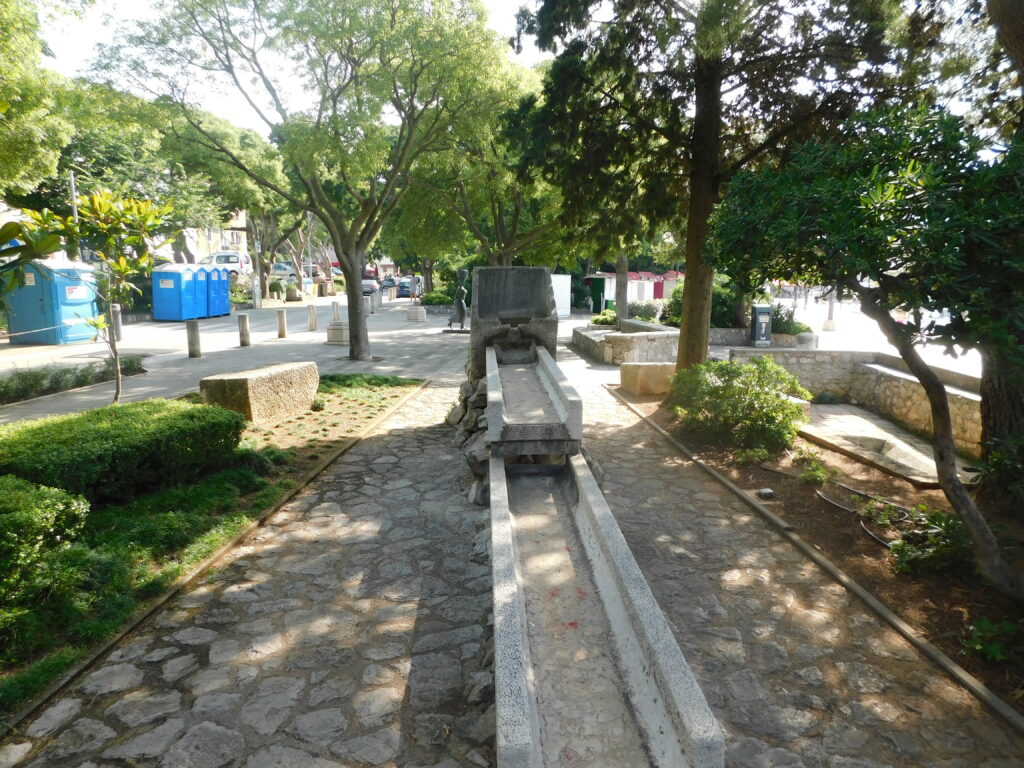 DSCN2907[1]