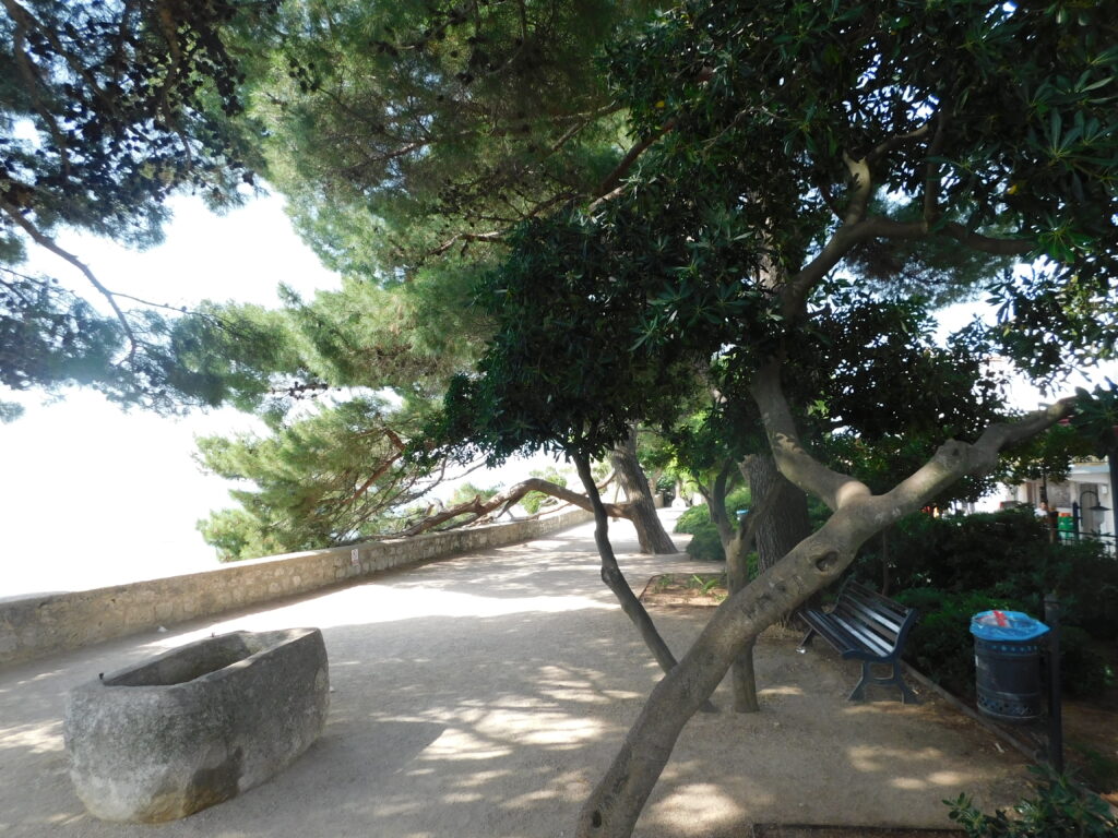 DSCN2925[1]