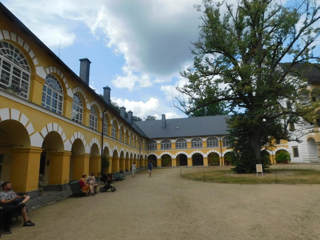 DSCN4529