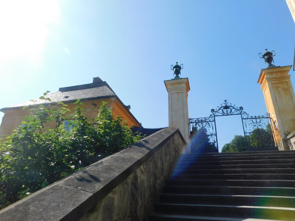 DSCN4663