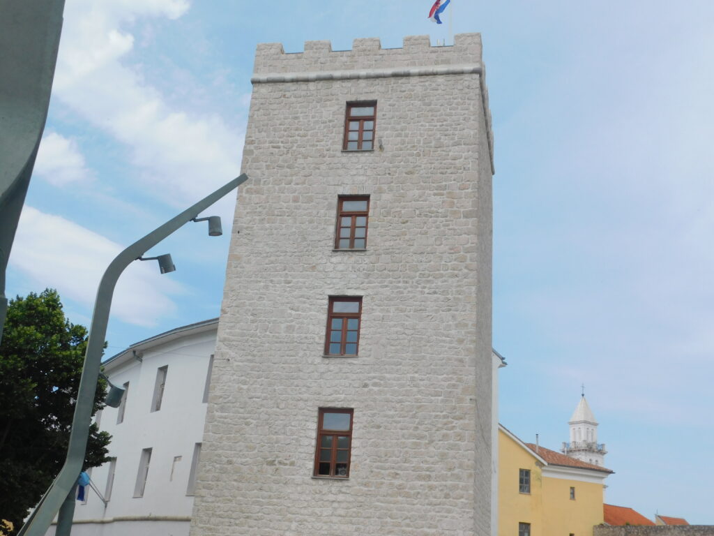 DSCN6920