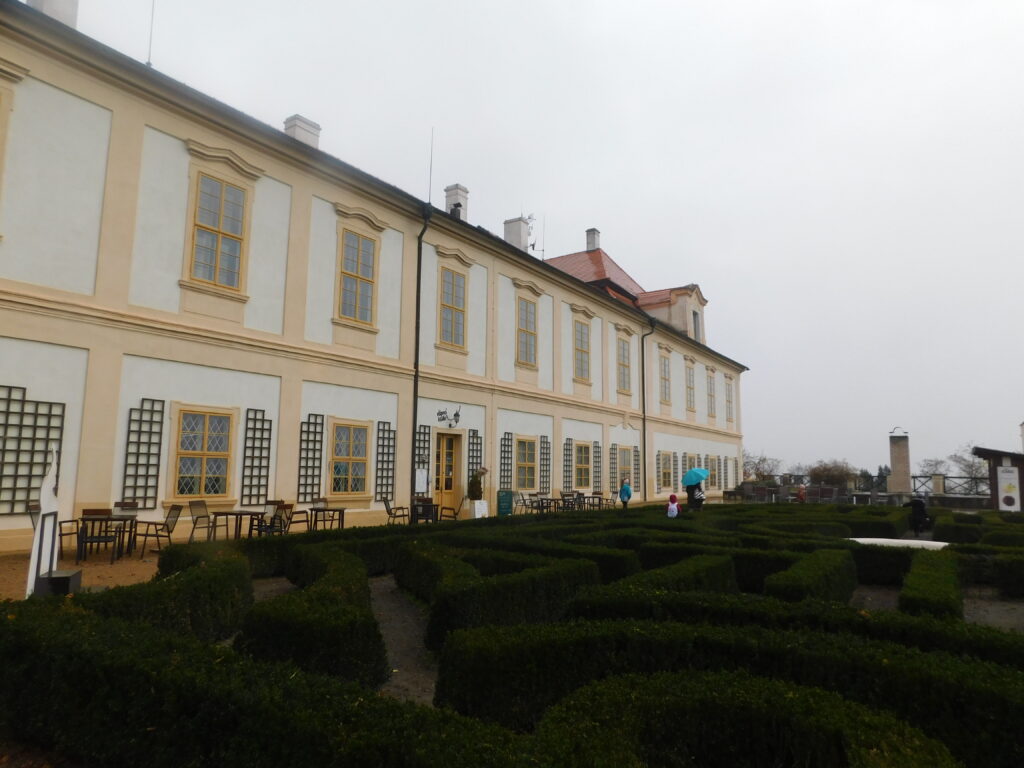 DSCN6153