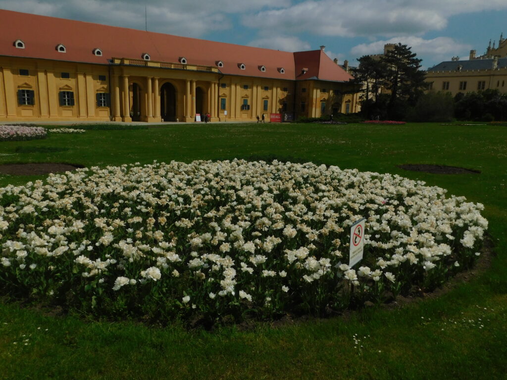 Zámek Lednice 19