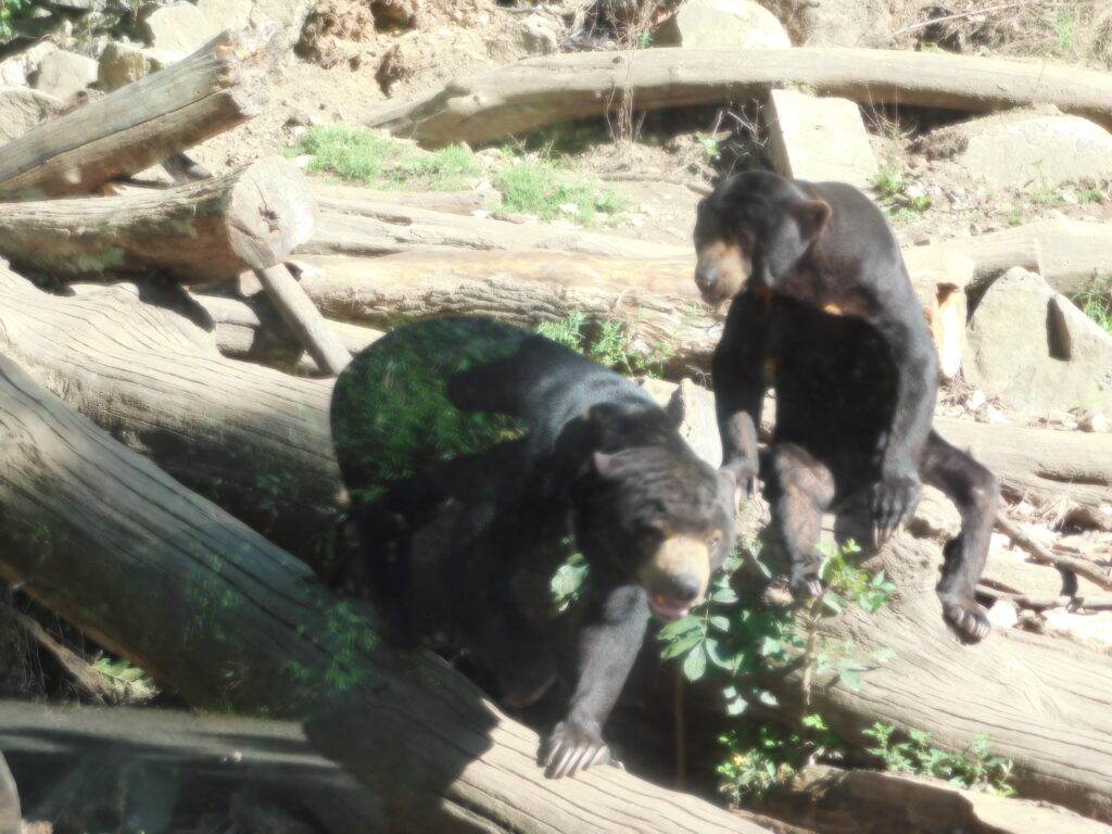 ZOO Jihlava 10