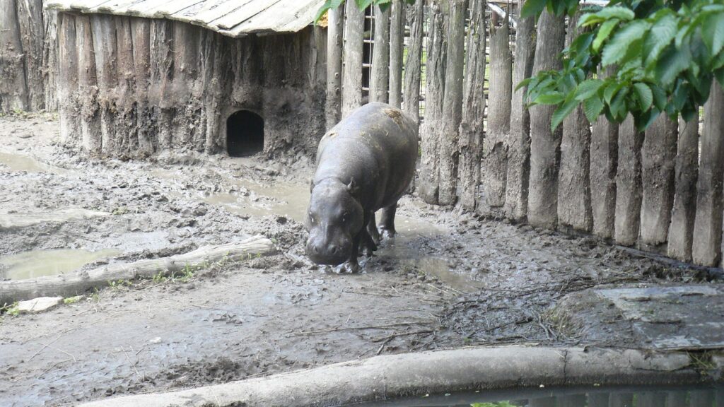 ZOO Jihlava 17