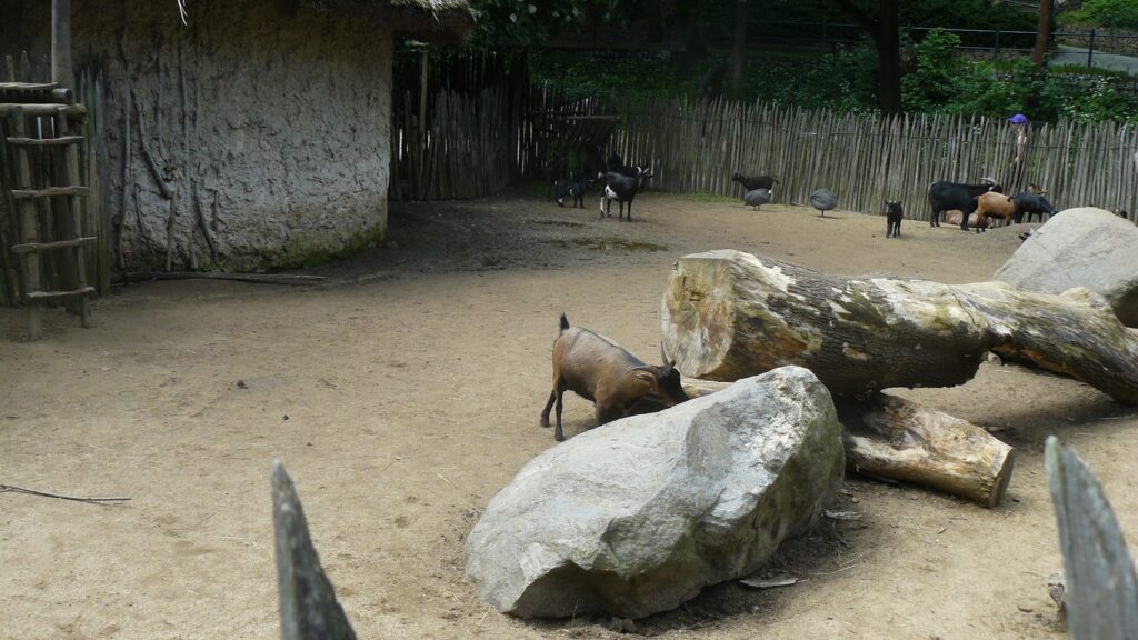 ZOO Jihlava 20