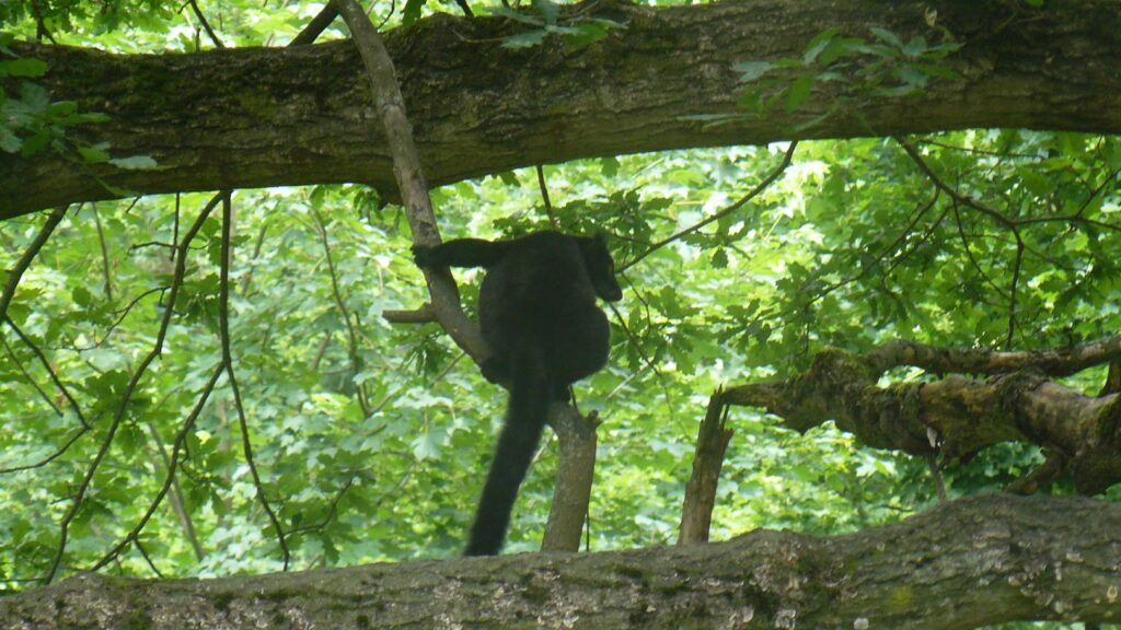 ZOO Jihlava 22