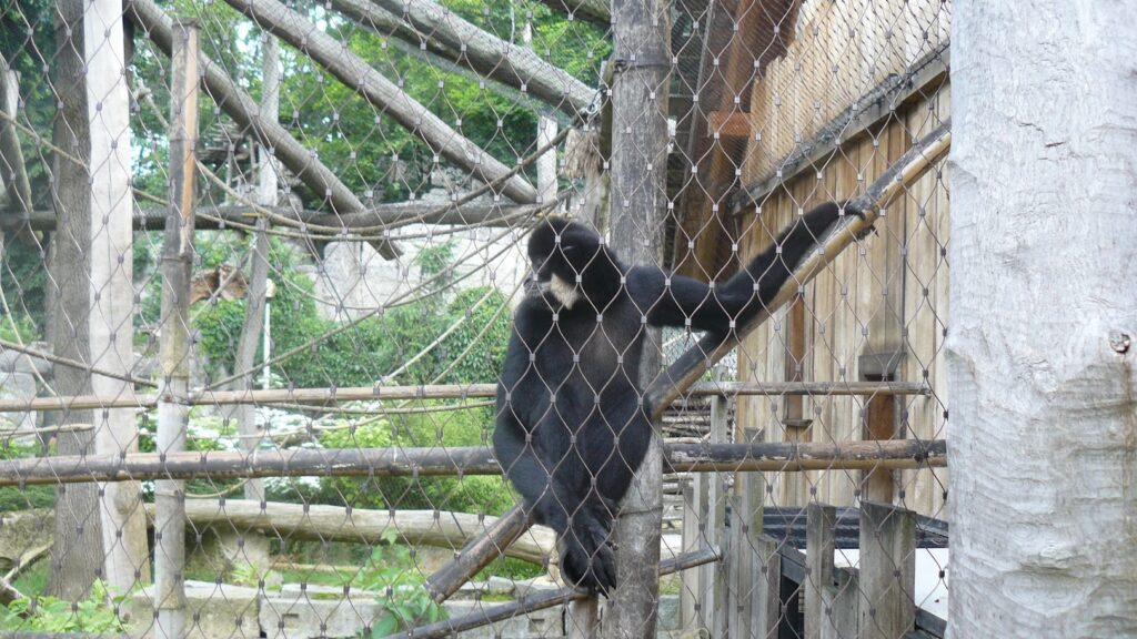 ZOO Jihlava 24