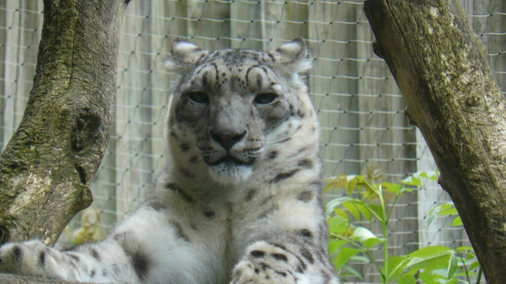 ZOO Jihlava 25