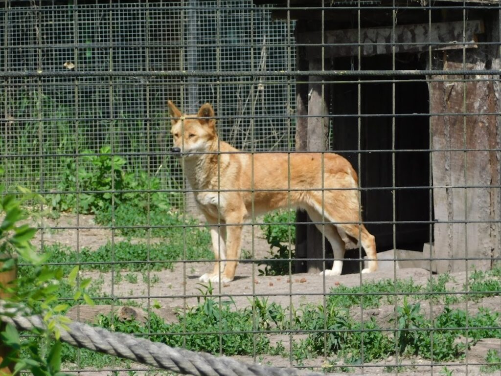 ZOO Sedlec 2