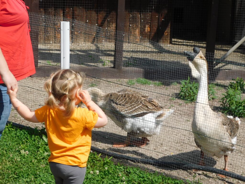 ZOO Sedlec 21