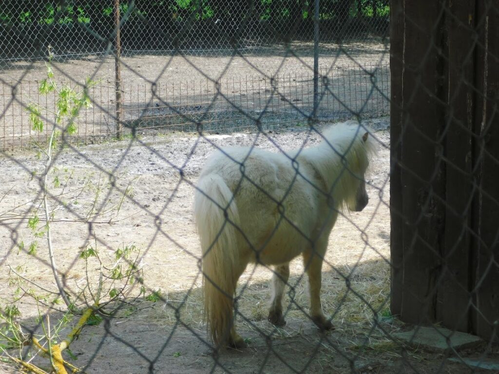 ZOO Sedlec 23
