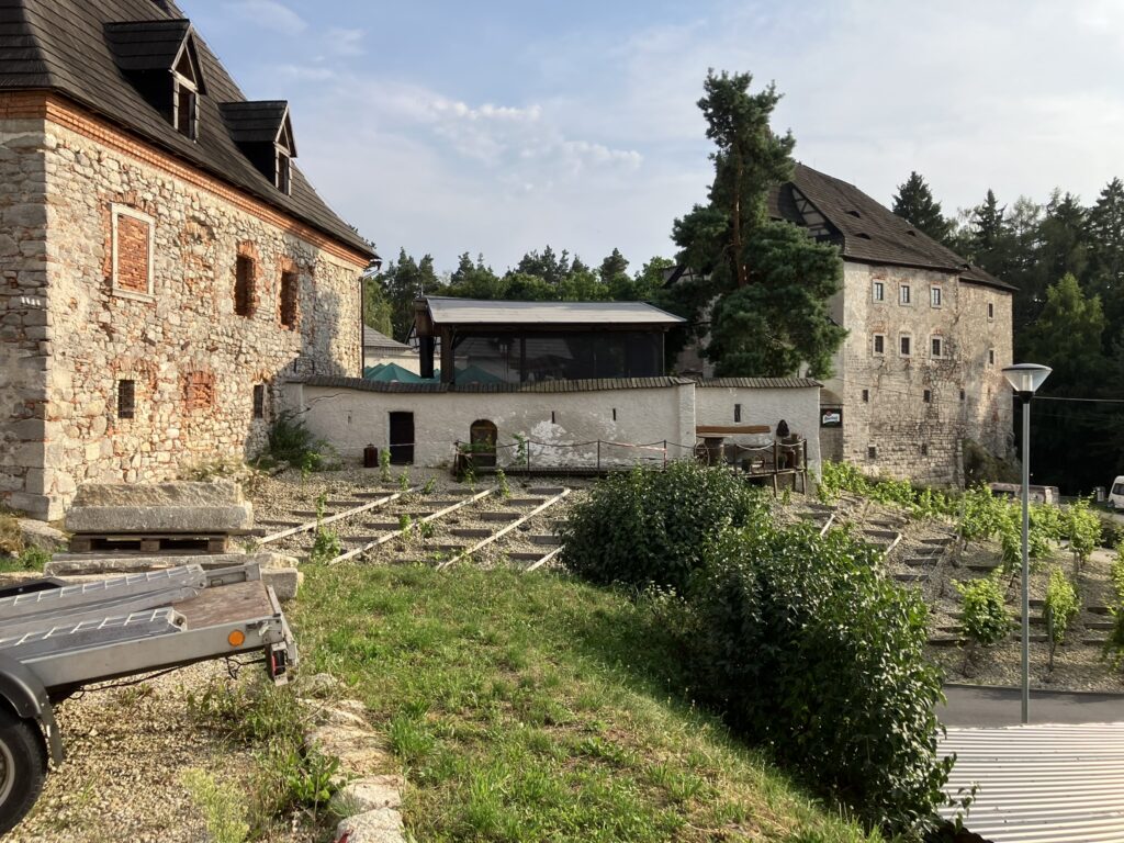 Hrad Vildštejn 16