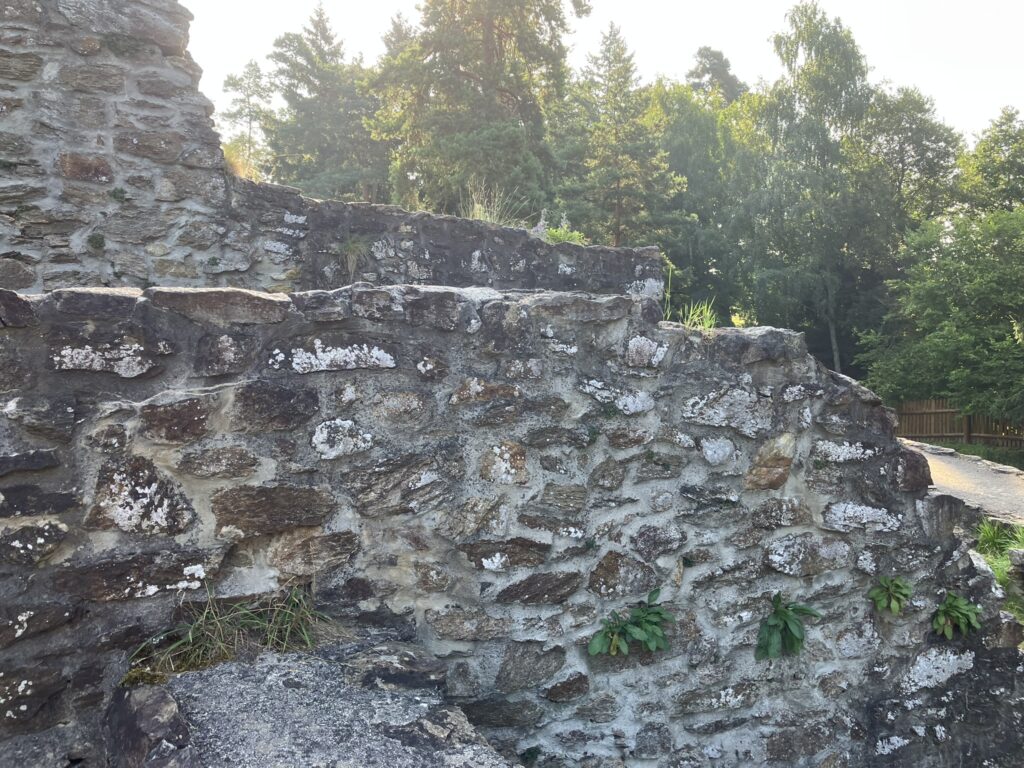 Kozí Hrádek 11