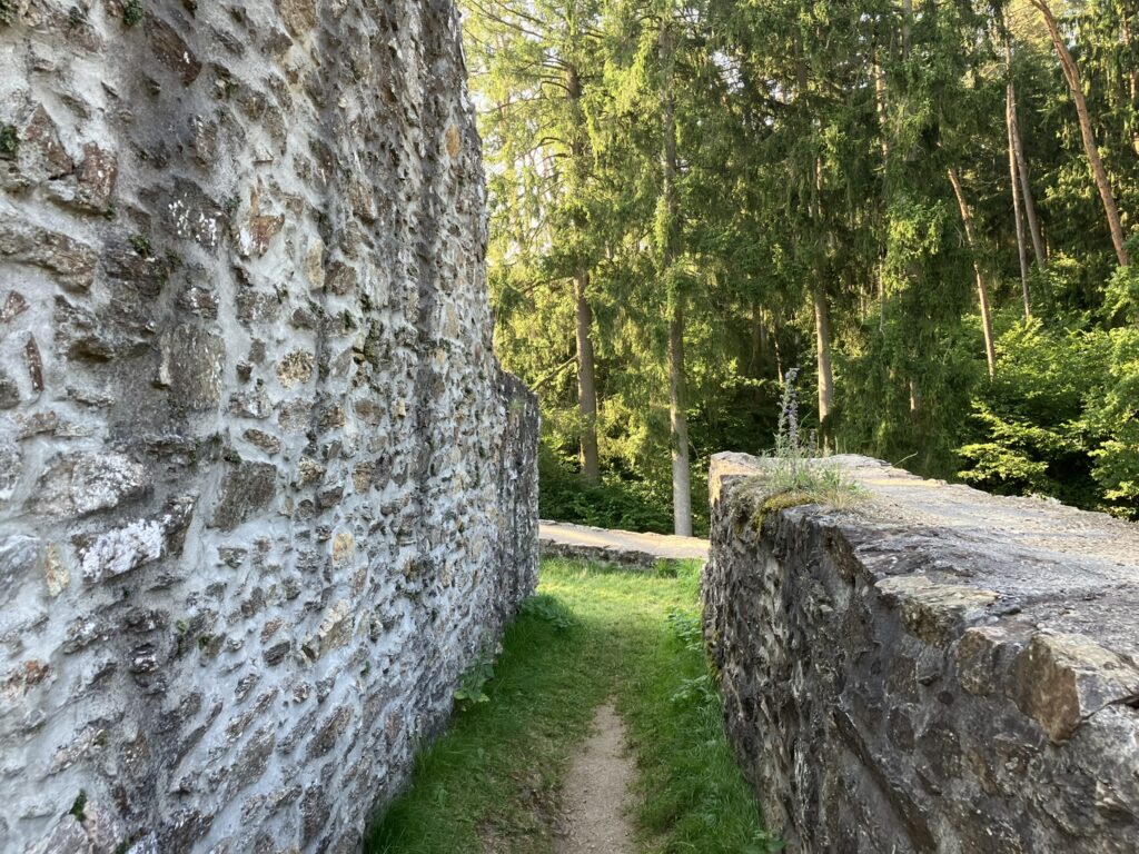 Kozí Hrádek 8