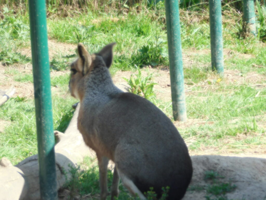 ZOO Tábor 11