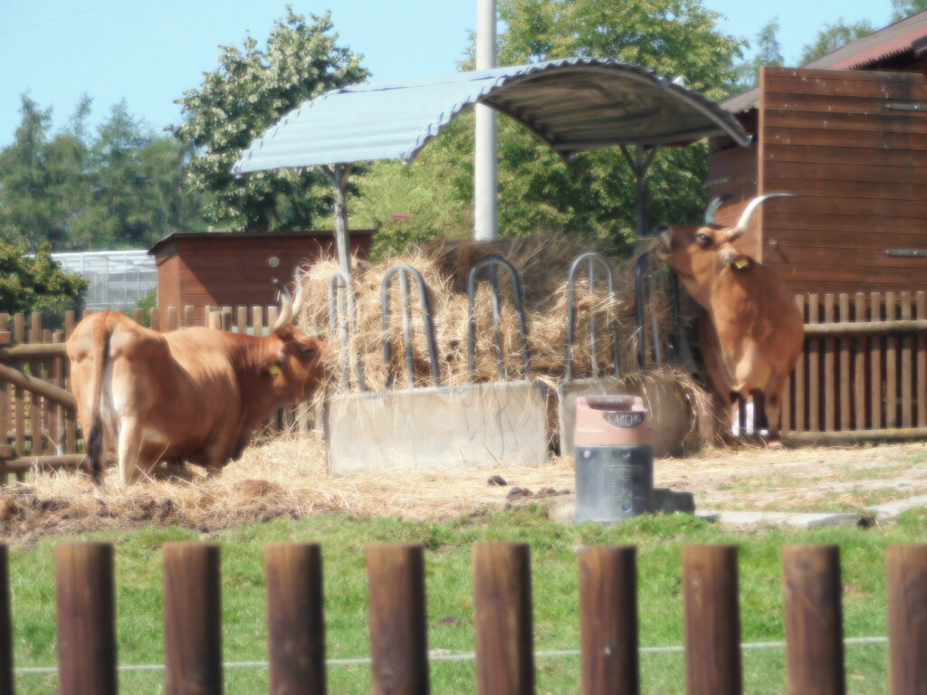 ZOO Tábor 12