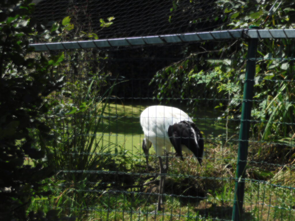 ZOO Tábor 13