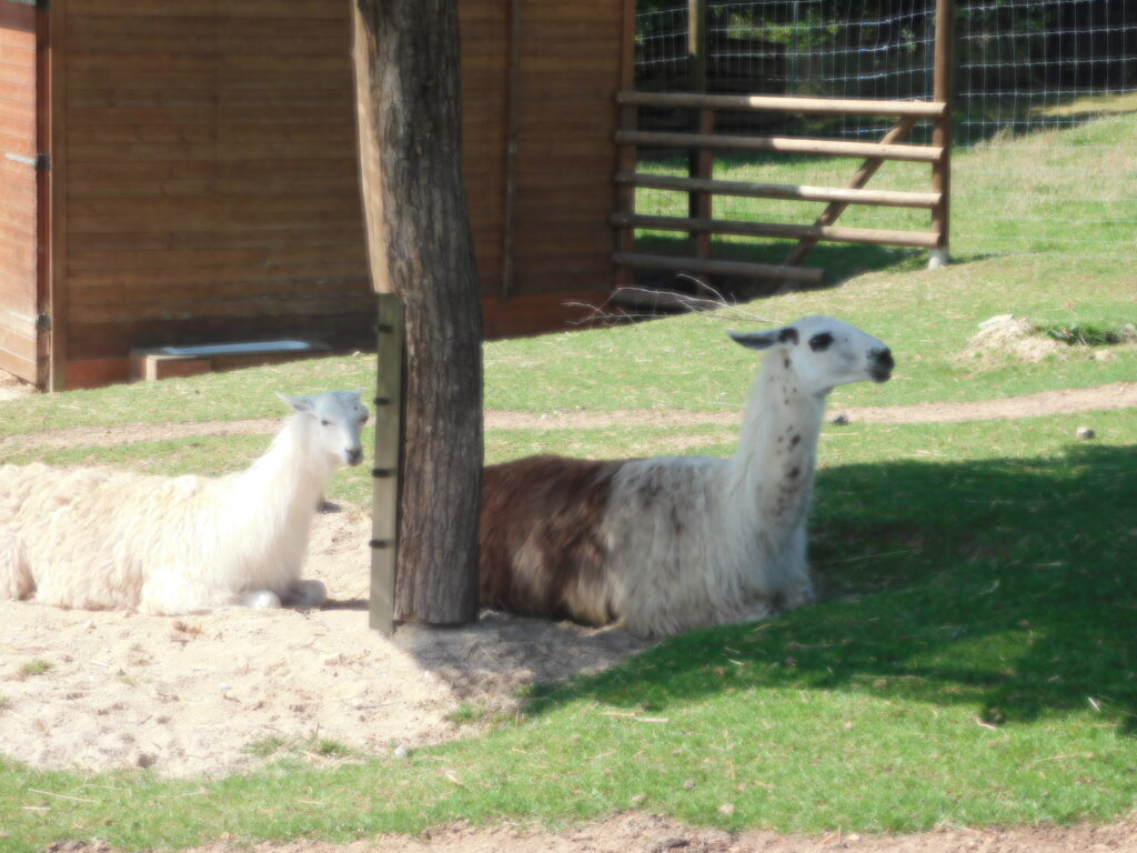 ZOO Tábor 14