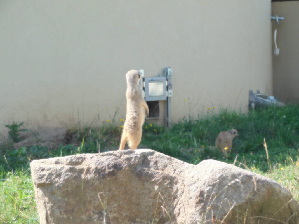ZOO Tábor 16