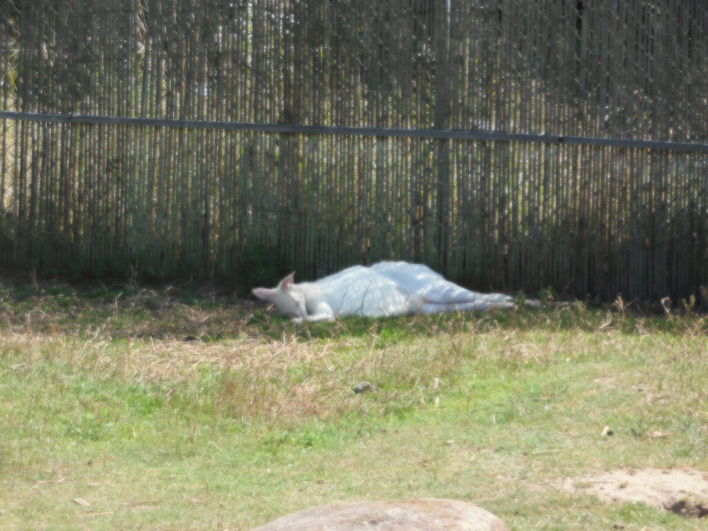 ZOO Tábor 17