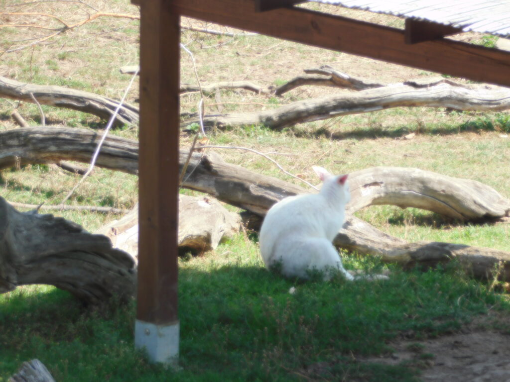 ZOO Tábor 18