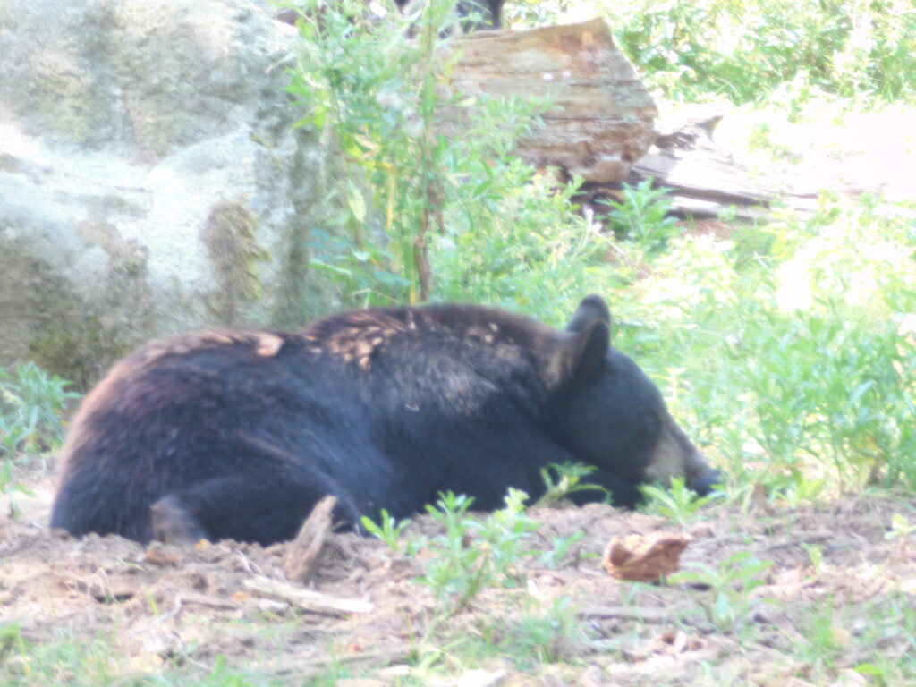 ZOO Tábor 22