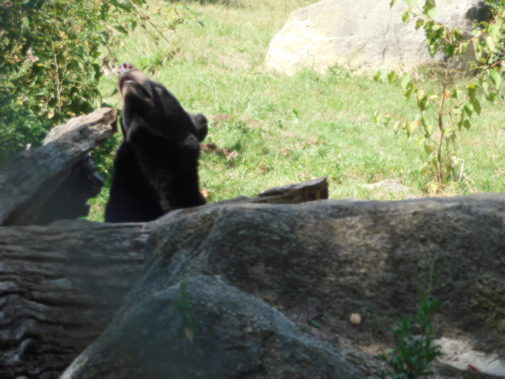 ZOO Tábor 23