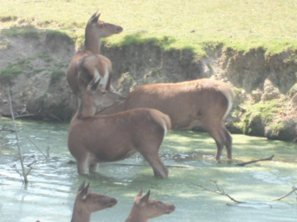 ZOO Tábor 25