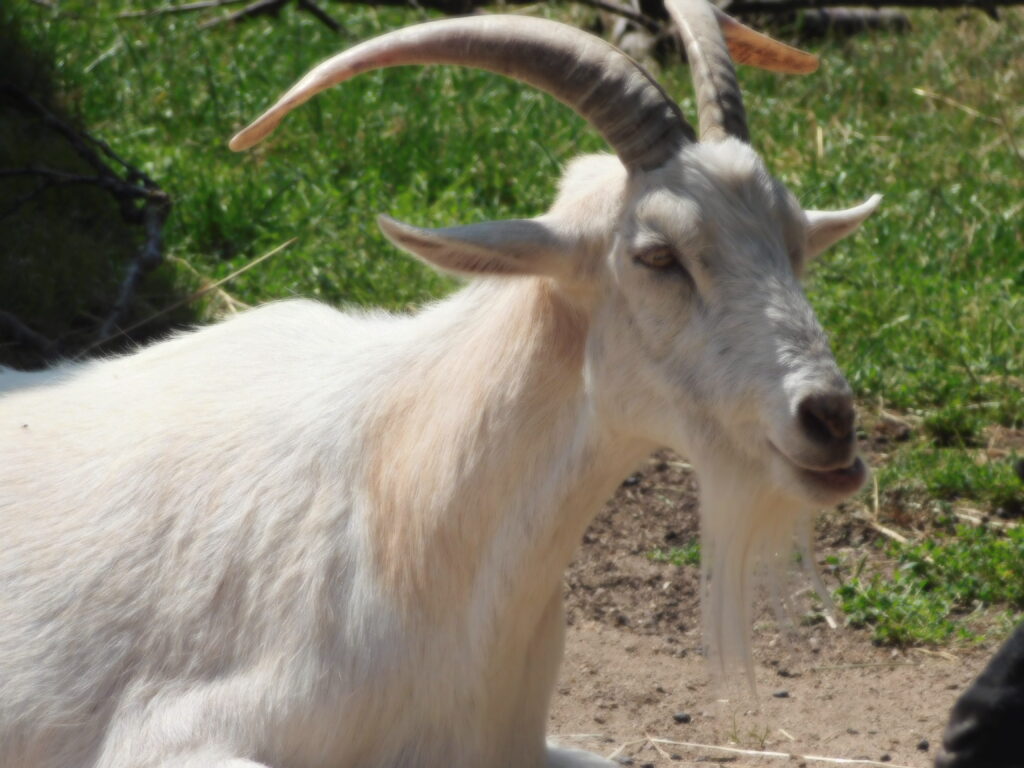 ZOO Tábor 29
