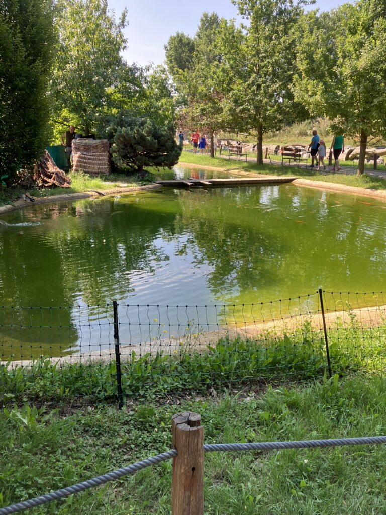 ZOO Vyškov 11