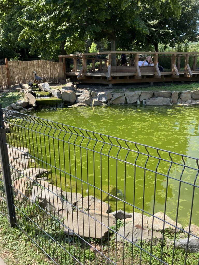 ZOO Vyškov 14