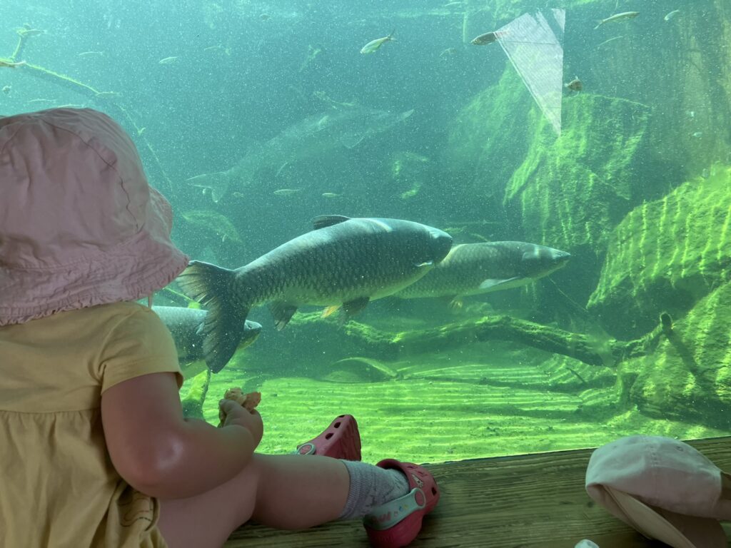 ZOO Vyškov 2