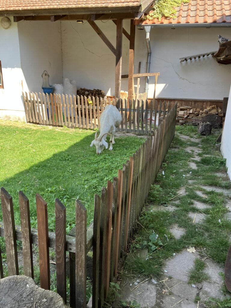 ZOO Vyškov 24