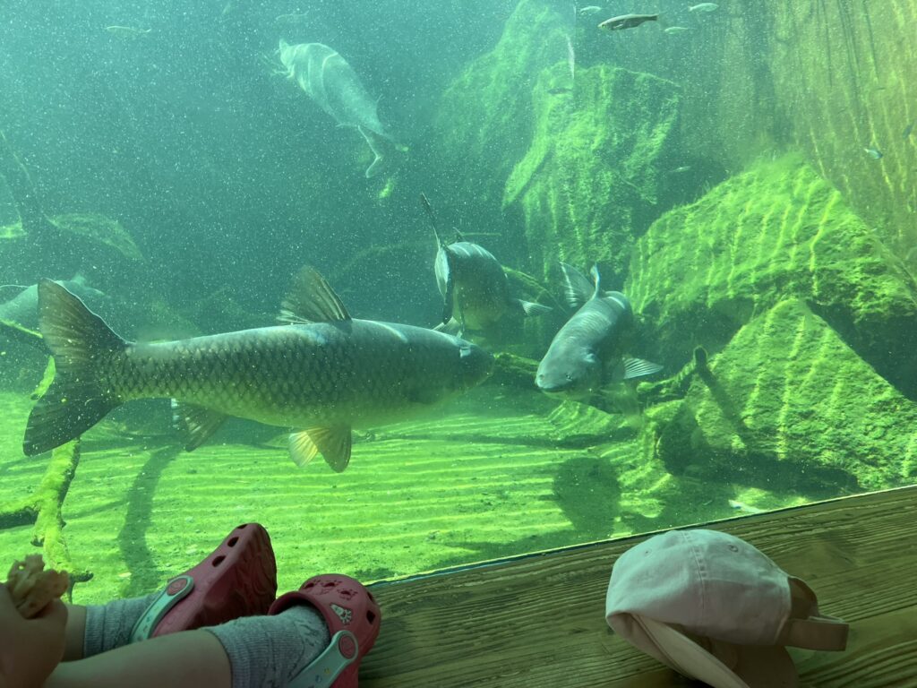 ZOO Vyškov 3