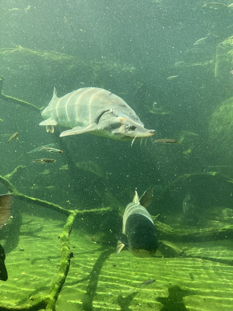 ZOO Vyškov 4