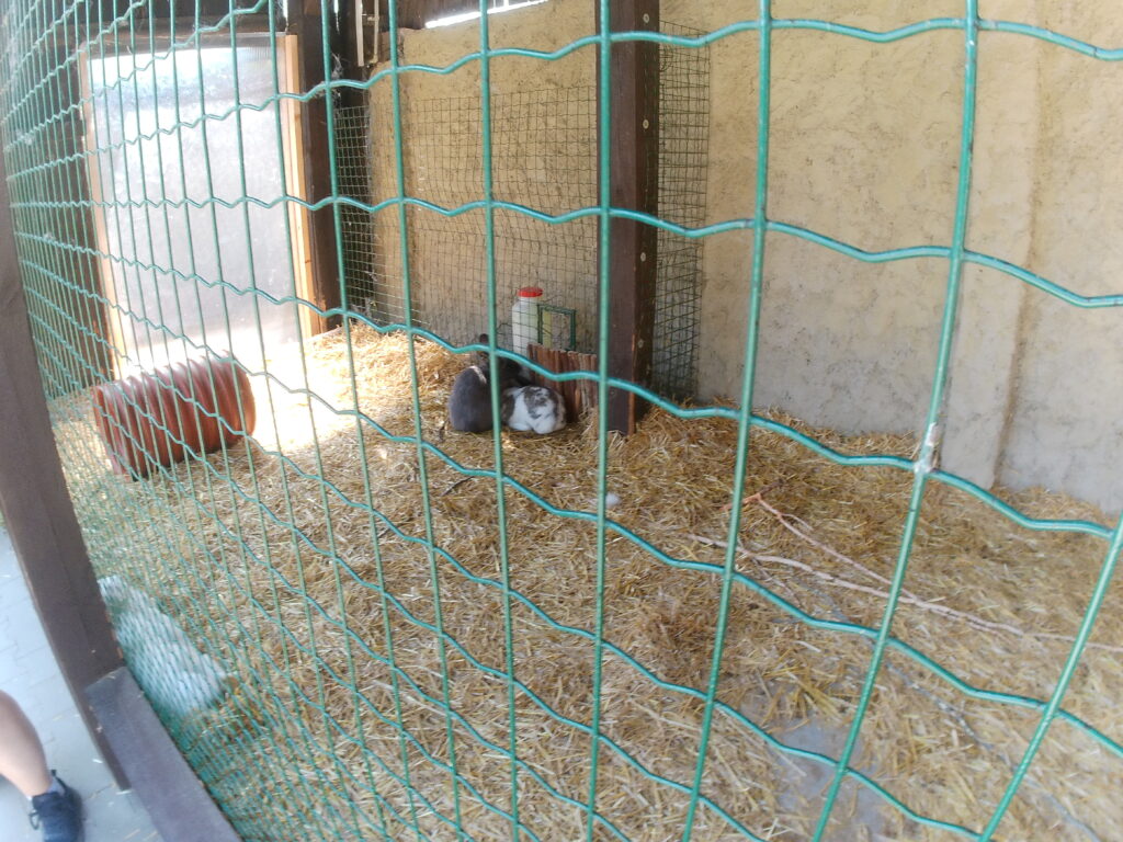 ZOO Vyškov 6
