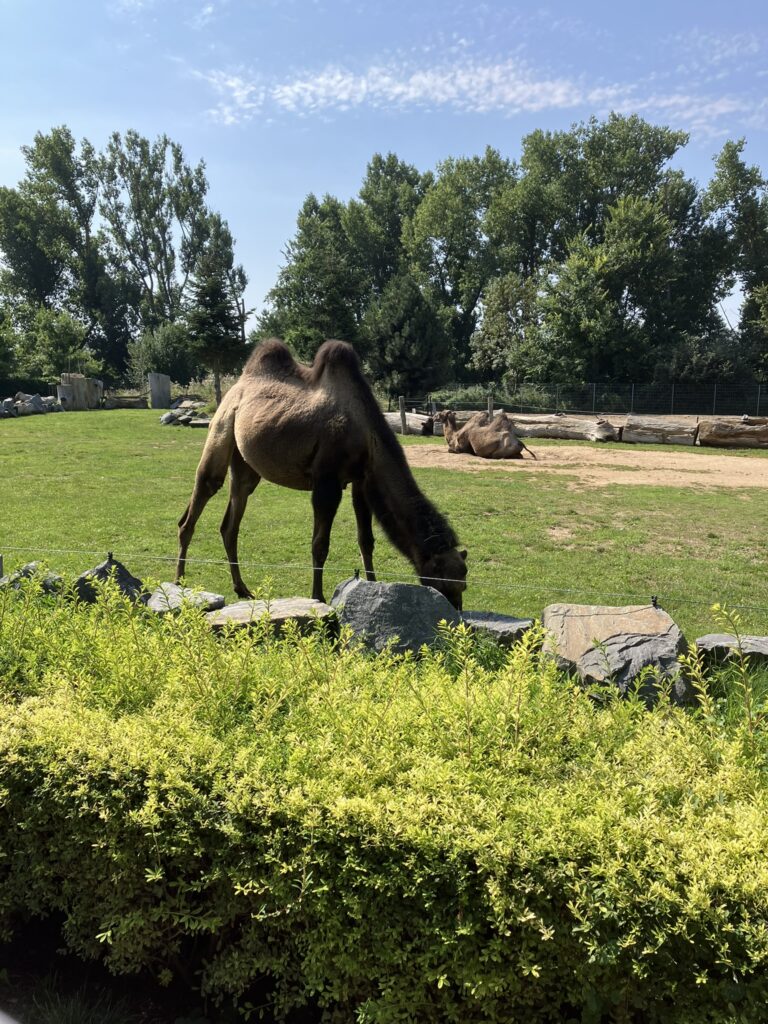 ZOO Vyškov 9