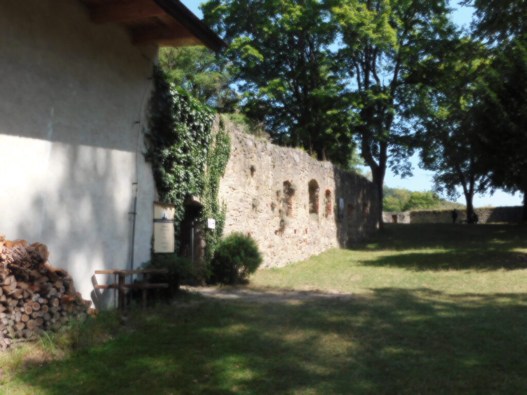 Zvíkov 10