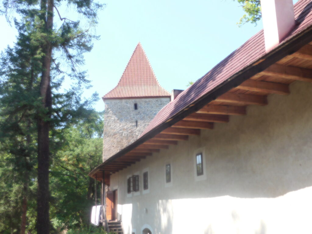 Zvíkov 11